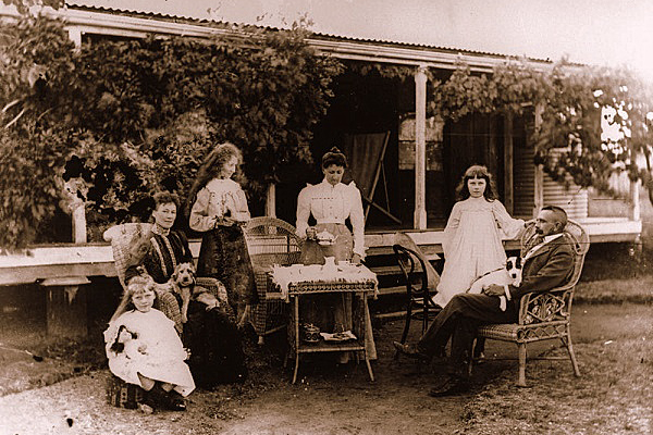 Ngược dòng lịch sử tìm hiểu về nguồn gốc của trà